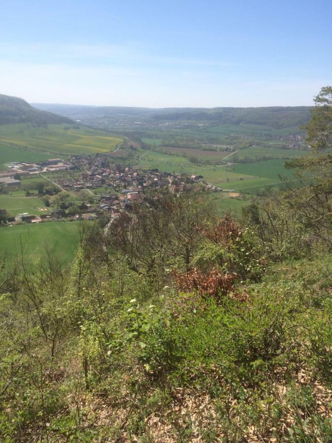 Saaletalblick * Jena