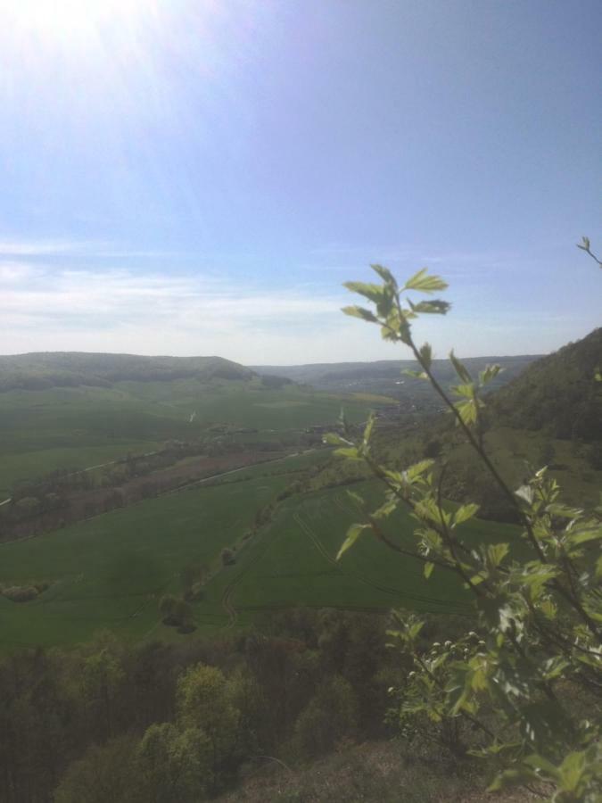 Saaletalblick *
