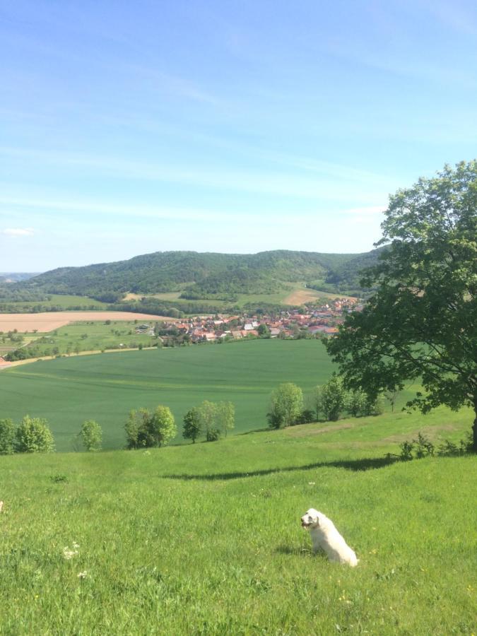 Saaletalblick